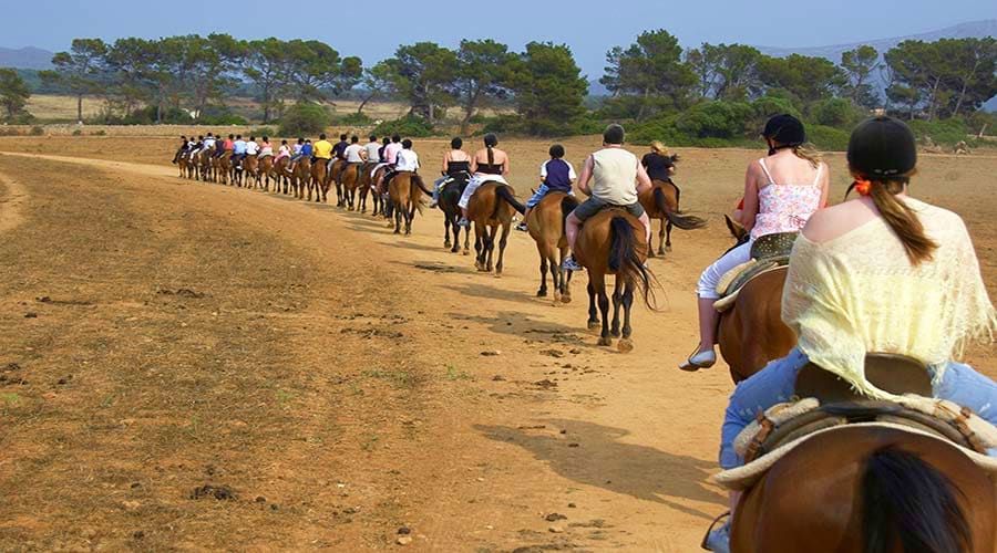 Group of people riding brown horses in a line across a dusty field with trees and mountains in the background